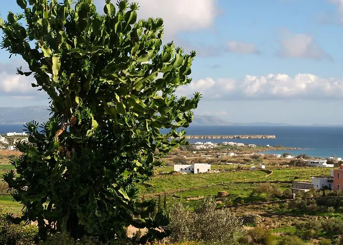 Дом отдыха Casa Marvina Хриси-Акти